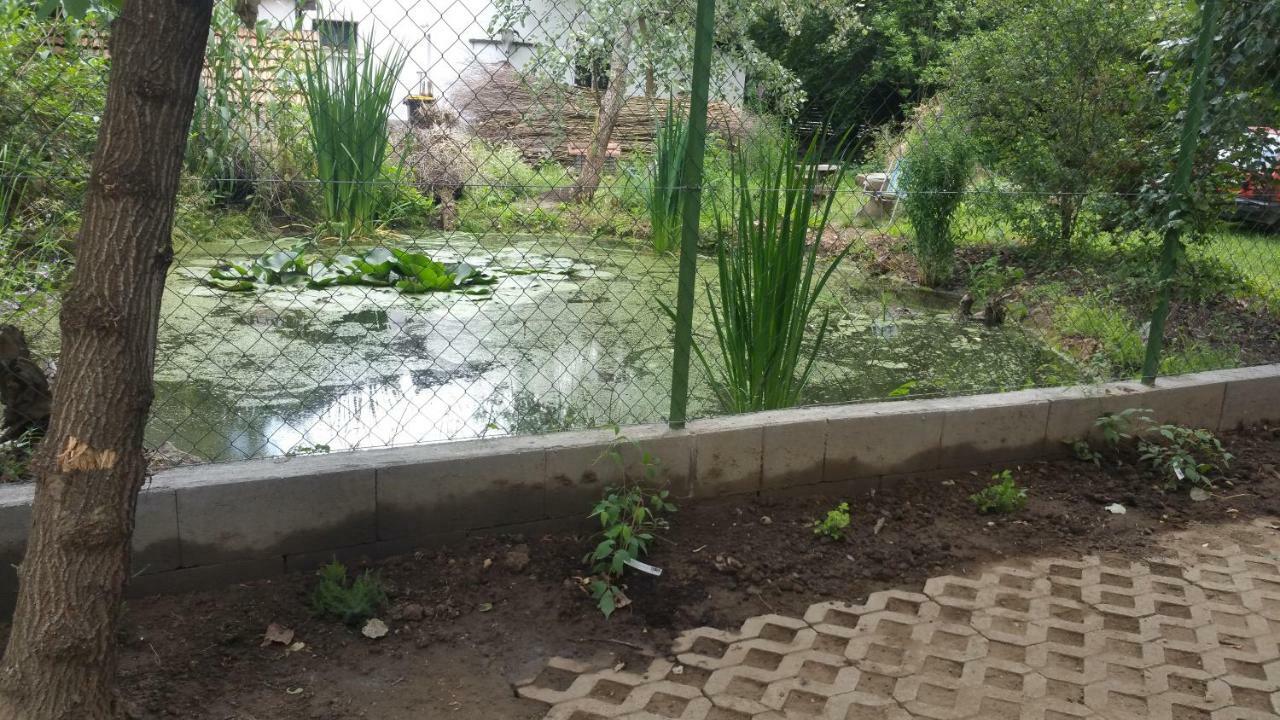Elo Tisza Vendeghaz Hotell Nagykoru Exteriör bild